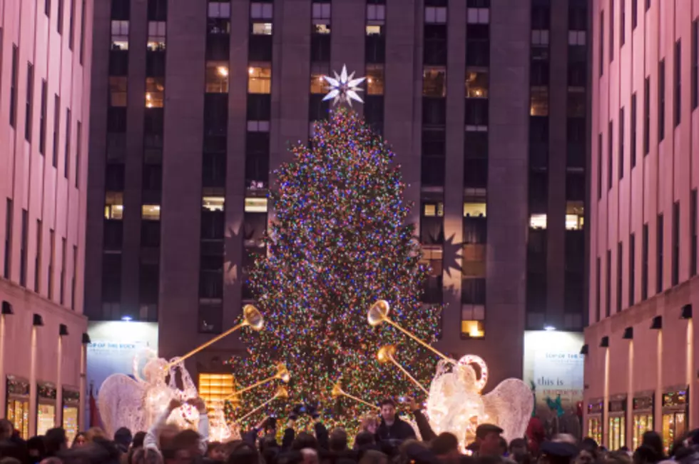 PA Spruce Shines in NYC’s Rockefeller Center