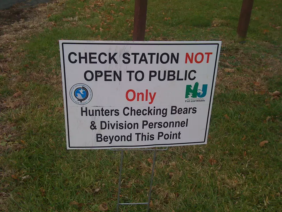 NJ’s Controversial Black Bear Hunt Starts Today [AUDIO]