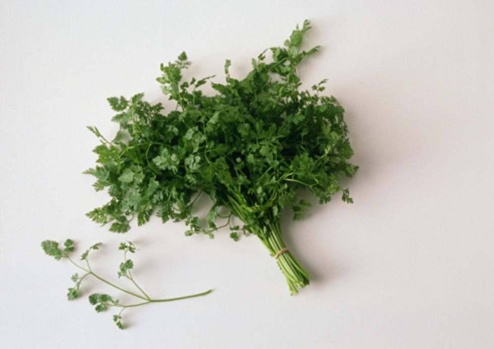 Cilantro Recall in Seven States, Including NJ