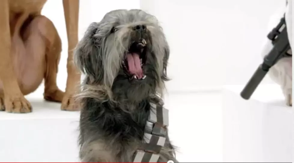 Dogs Turn to the ‘Bark Side’ in New Super Bowl Ad [Video]