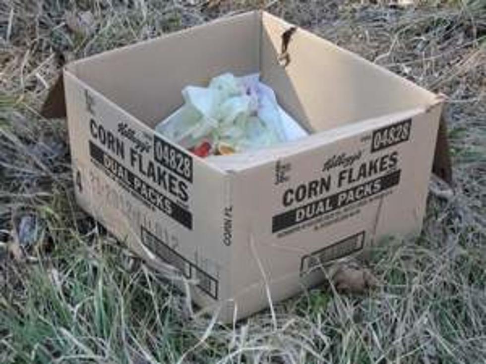 Dead Chicken Found in Corn Flakes Box [PHOTOS]