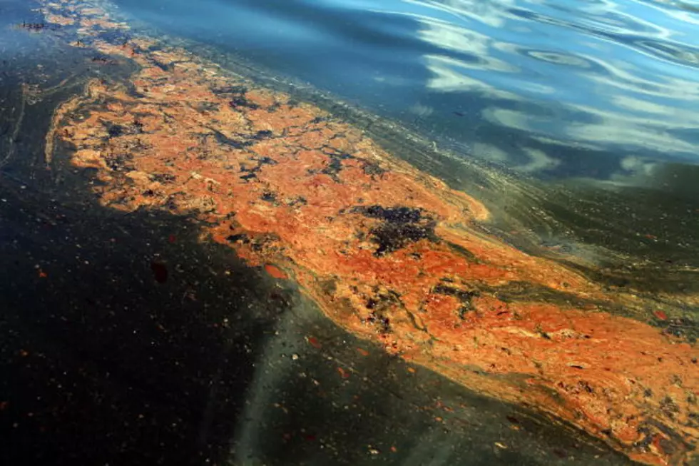 Gulf Residents To Get Extra $64M For Spill Claims  [VIDEO]