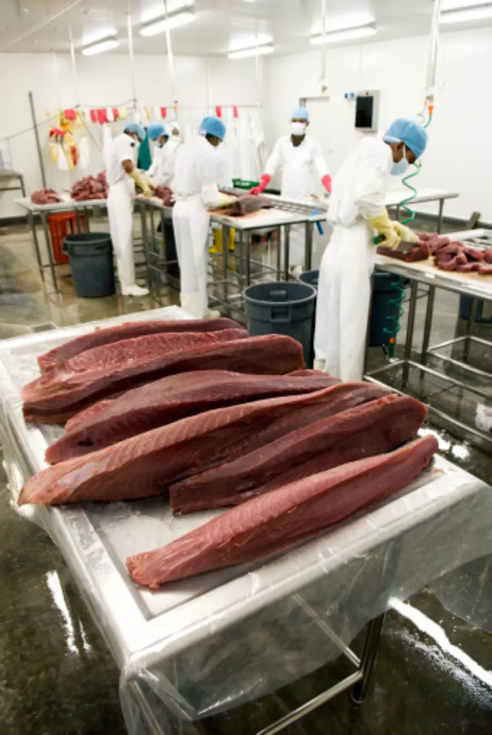 Tuna Linked to Salmonella Outbreak in 20 States