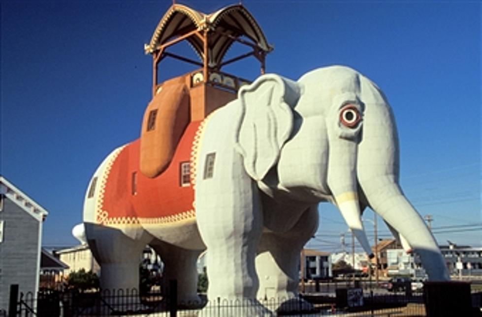 Lucy the Elephant Survives Sandy