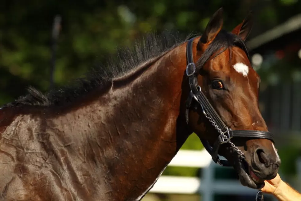 Paynter Wins Haskell Invitational