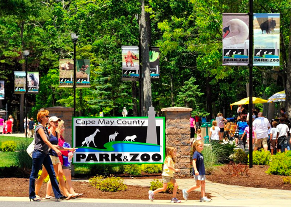 Jersey Shore Guide to Zoos and Aquariums for Kids