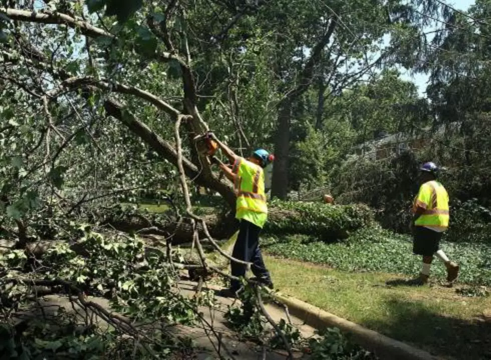 Assessments of Damage from NJ Storms Begins