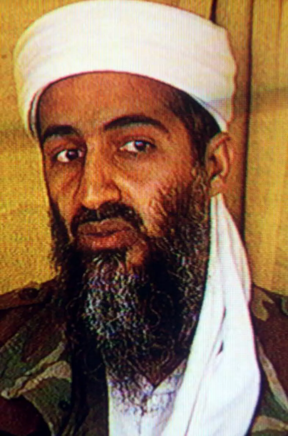 Pakistani School Library Honors Bin Laden