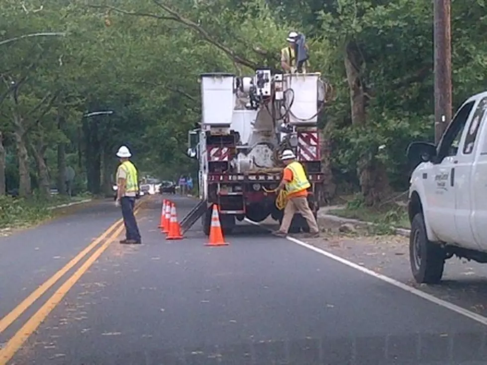 Trees Could Be The Culprit To Recent Power Problems [AUDIO]