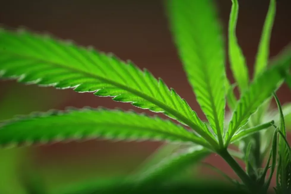 Medical Marijuana Moves Forward:  From The Newsroom