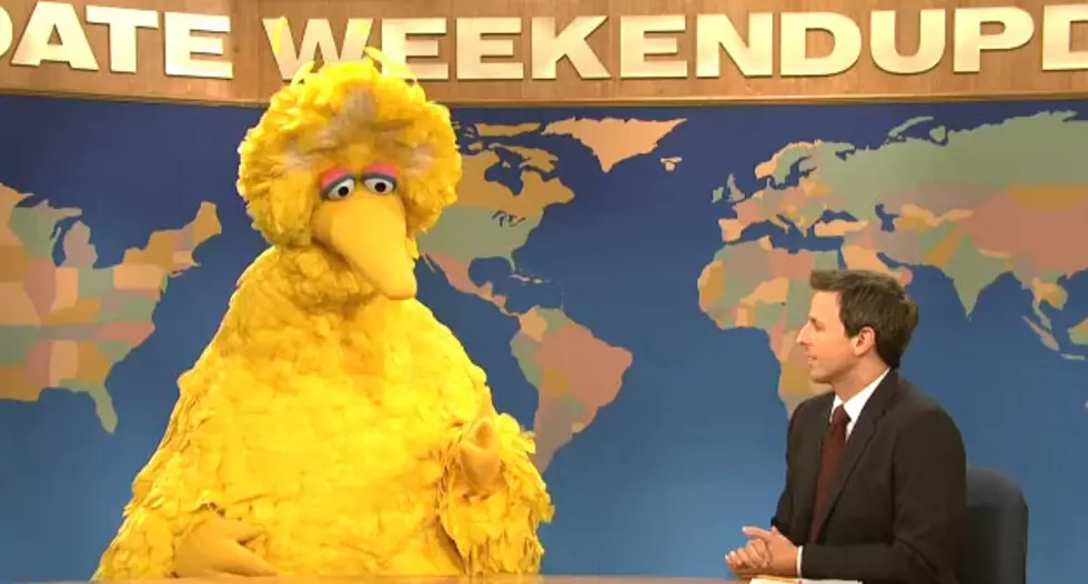 Big Bird Wings It To ‘Saturday Night Live’ [VIDEO]