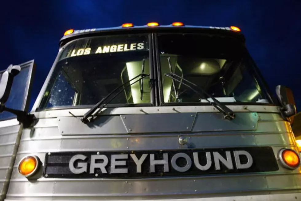 Roaches Stop Greyhound Bus Out Of Atlantic City