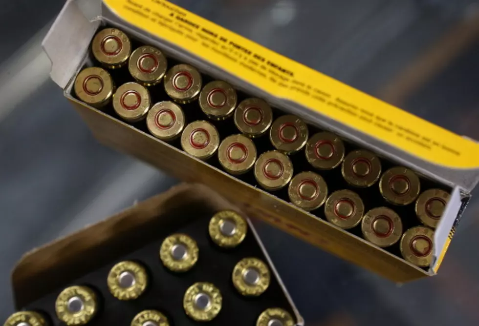 Ammo Limit Bill Clears Panel