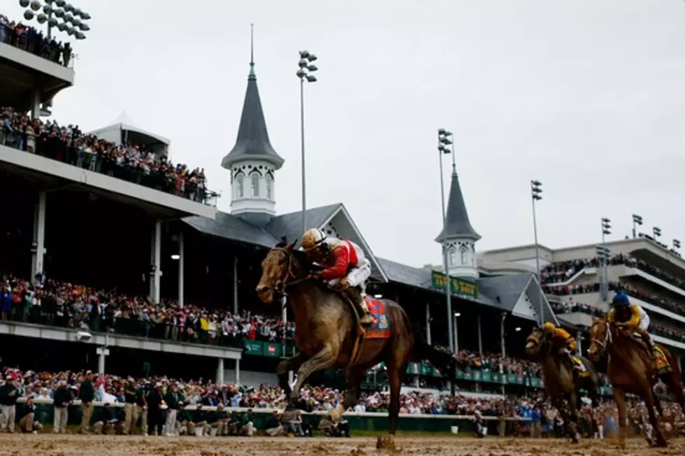 Orb Sets Sights on Preakness
