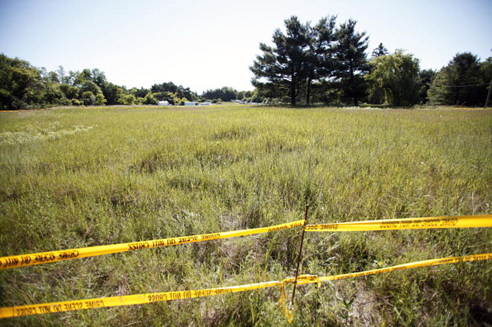 Jimmy Hoffa Body Hunt Called Off, No Remains Found