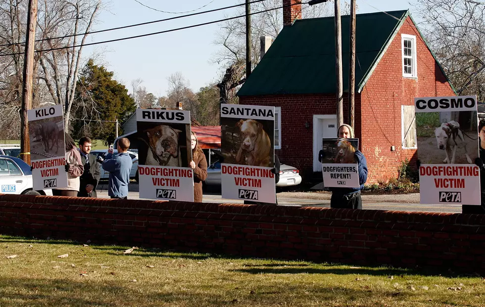 Sickening New Trend in Dog Fighting Emerges, Called &#8220;Trunk Fighting&#8221; [AUDIO]