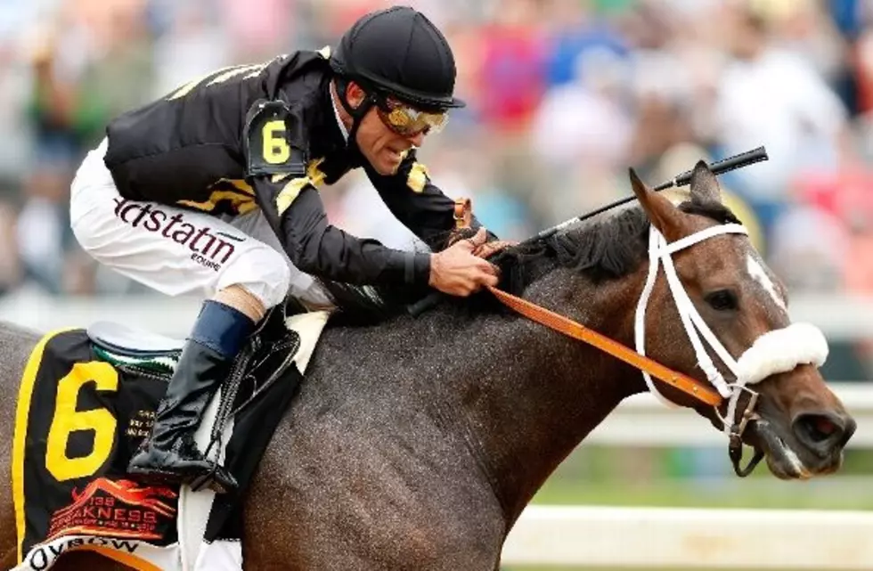 Preakness Winner Oxbow Prepares For Haskell Run