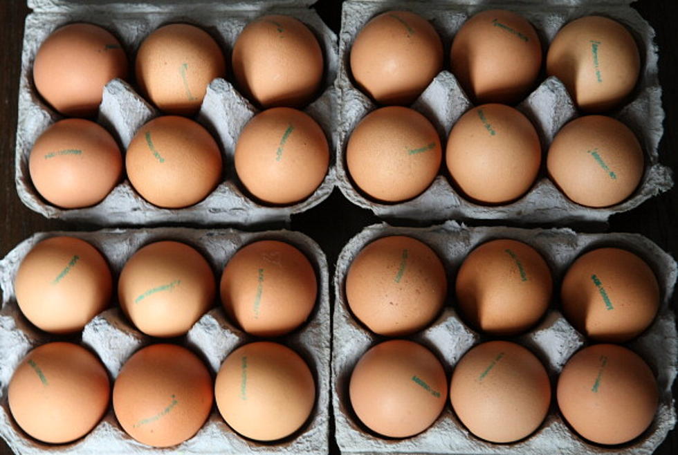 Rutgers To Serve Cage-Free Eggs