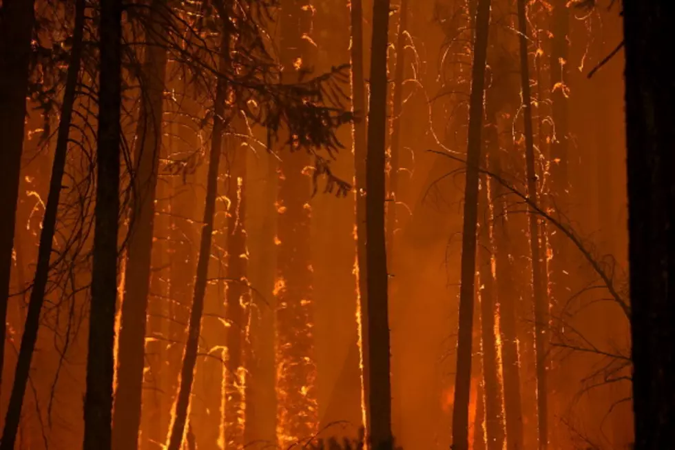 Crews Battle Huge Wildfire Raging in Yosemite Area  [VIDEO]