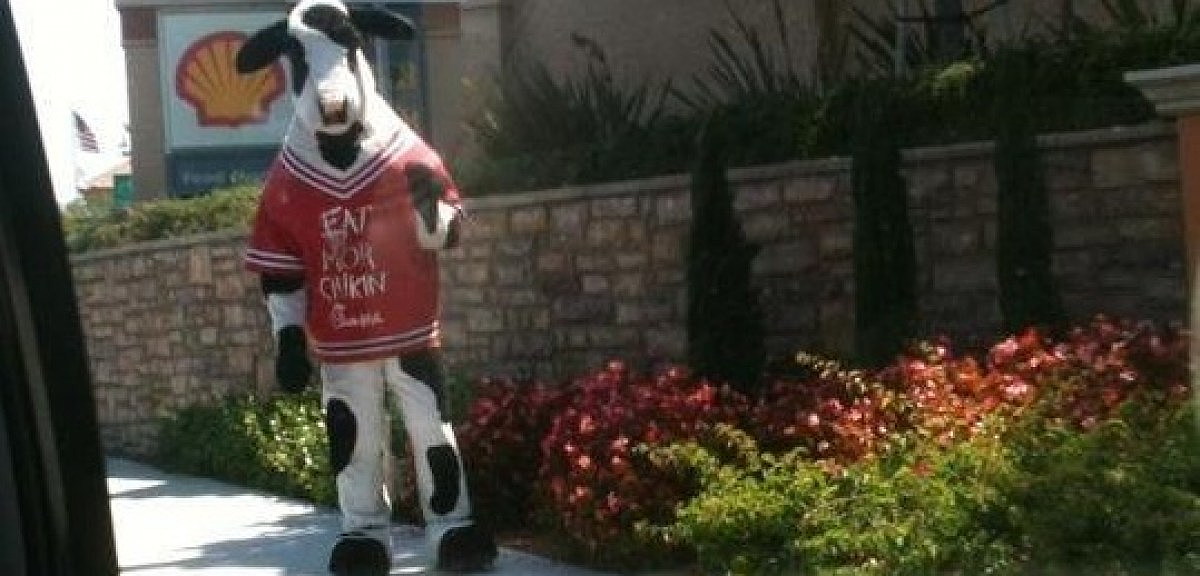chick fil a cow costume