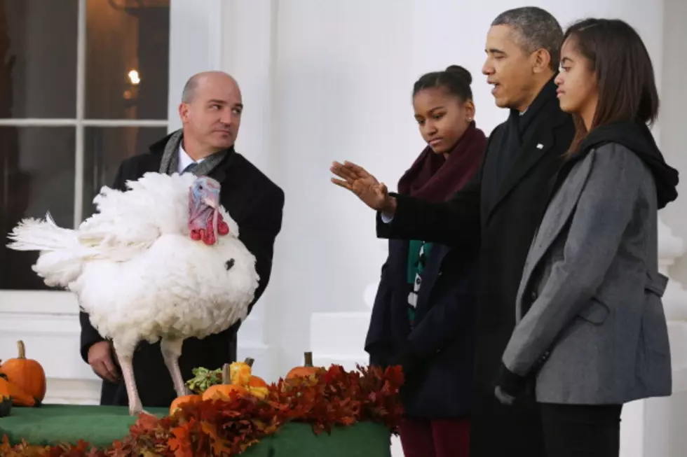 Obama Pardons Turkeys as Part of Annual Rite