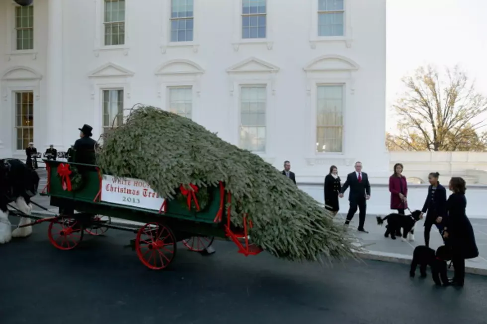 New Jersey Grown Christmas Trees to be Displayed at White House