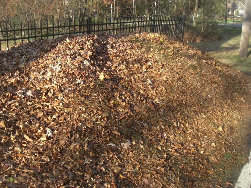 Big Fall Leaf Piles &#8211; Love Or Hate  [PHOTOS/POLL]