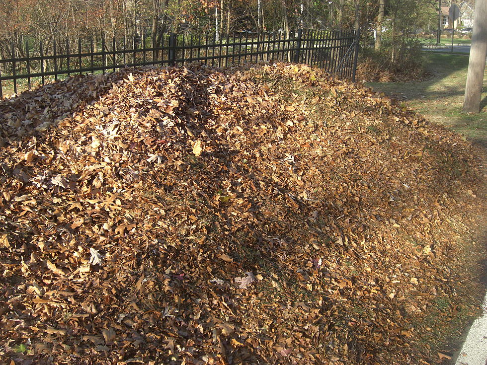 Big Fall Leaf Piles – Love Or Hate  [PHOTOS/POLL]