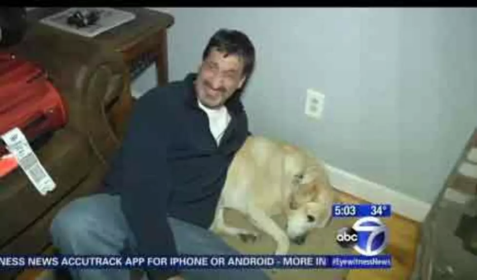 Guide Dog Dispute Cancels Flight From Philly to Long Island