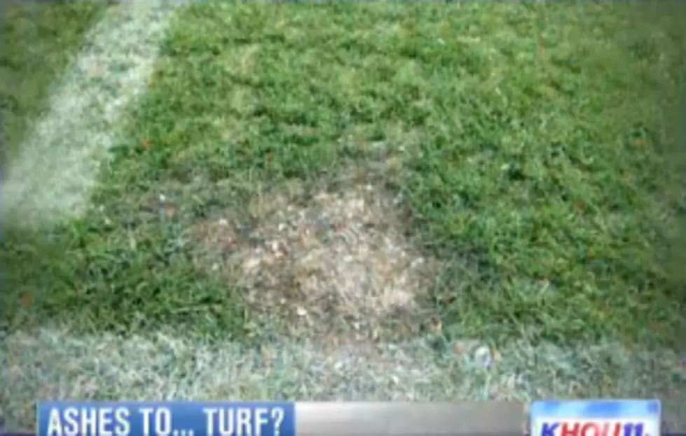 Ashes of Possible Auburn Fan Dumped on Field After Saturday’s Game – What To Do With Yours? [POLL]