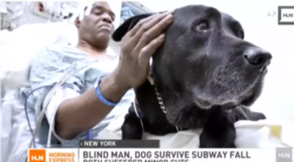 Ray’s Ray of Hope – NJ Businessman Andrew Piera Donates to Allow Blind Man Saved by his Guide Dog to Keep it
