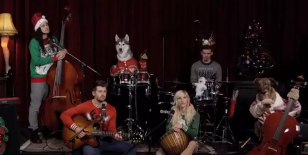 Watch Amazing Dogs Perform ‘Little Drummer Boy’