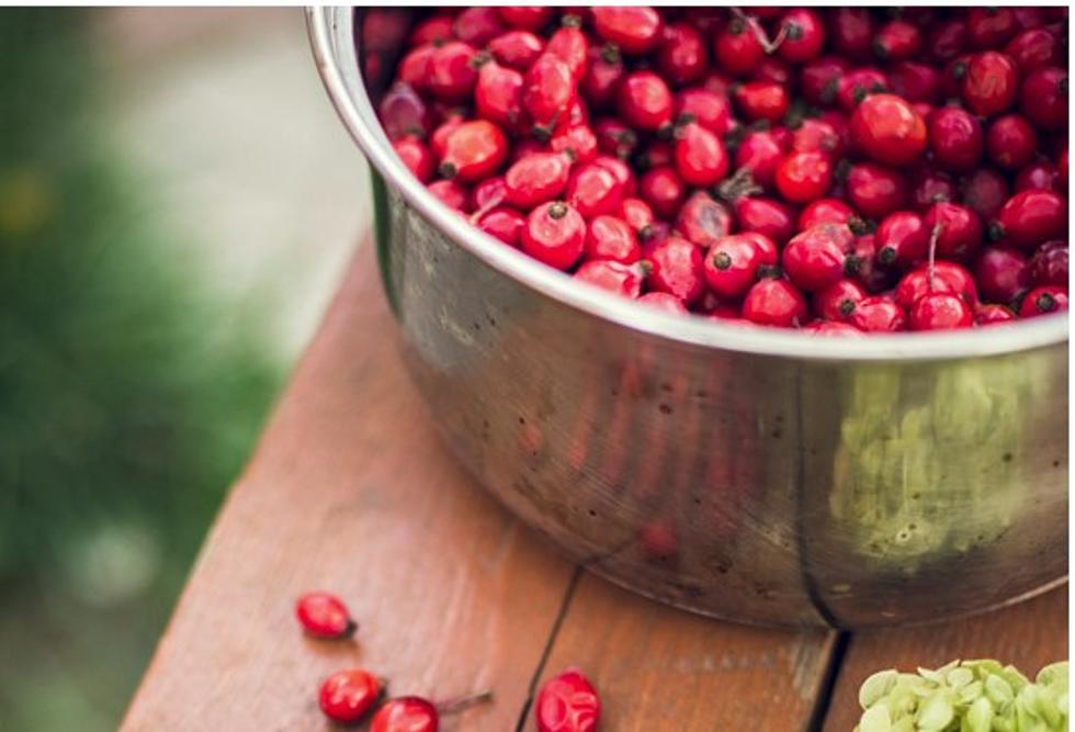 Big Joe Shares his Cranberry Bread recipe for your Turkey Day table