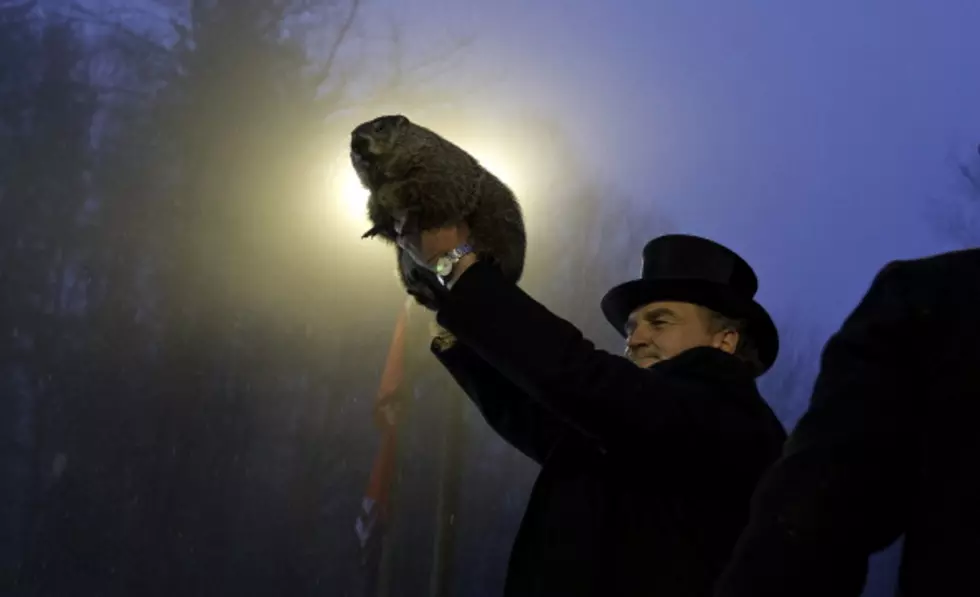 Cold News on Groundhog Day: Phil Sees Shadow