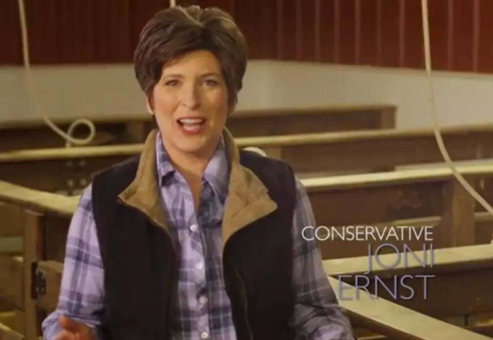 Joni Ernst Wants to Make Them Squeal in Washington [VIDEO]