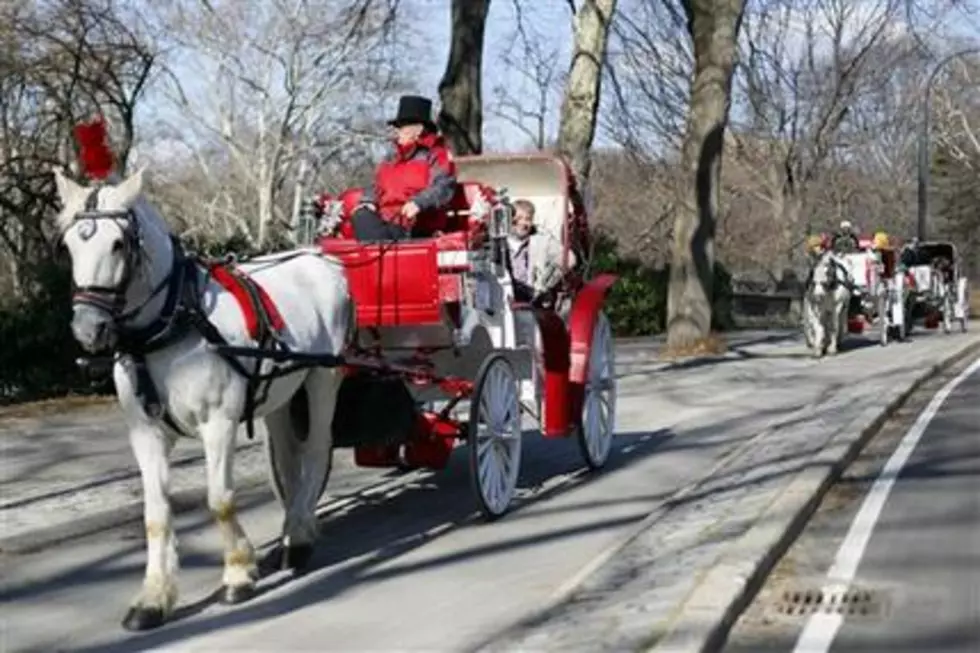 Whoa There: NYC Carriage Horse Ban Stalls