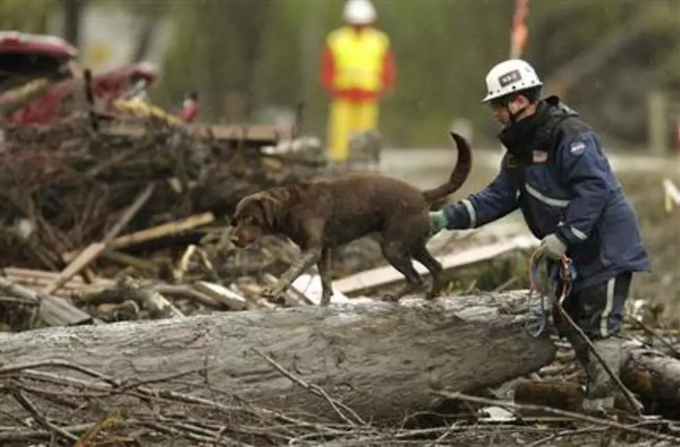 Search Ends for Washington Mudslide Victims