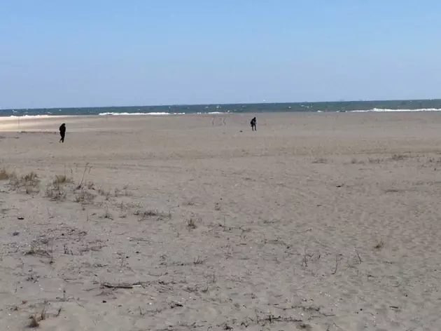 Couple finds possible human bone on Sandy Hook beach