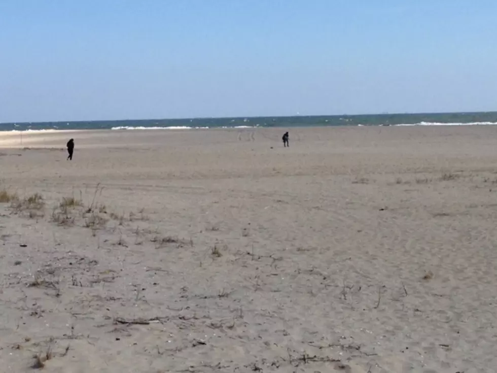 Jersey Shore Beaches Are in Great Shape Post-Sandy