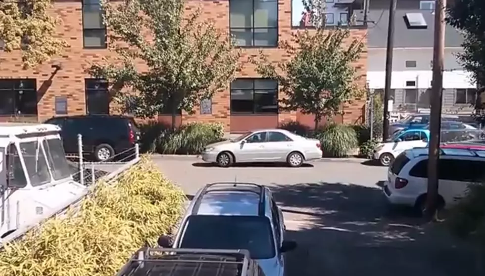Your parking skills aren’t as bad as this [Video]
