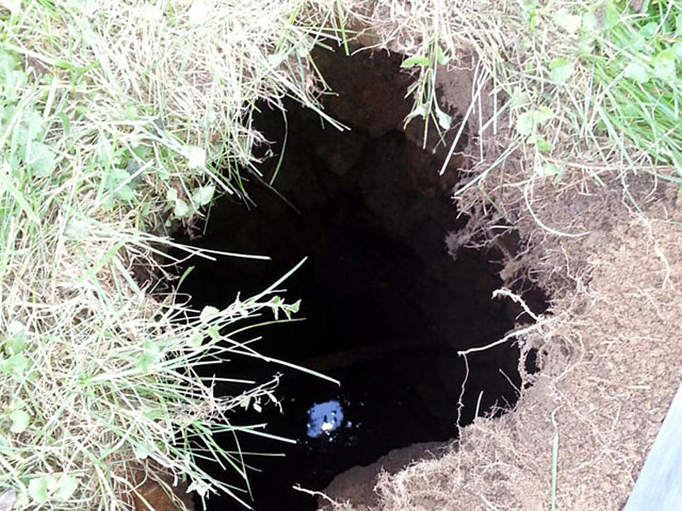 Nanny Rescues Child Who Fell in Septic Hole