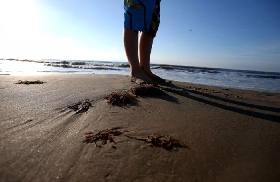 10 NJ beaches with the worst pollution