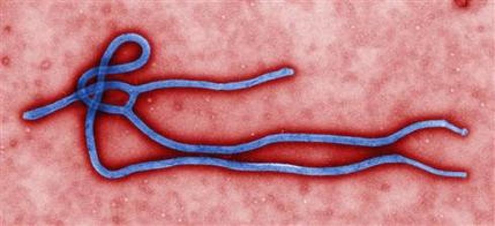 Threat of Ebola Assessed
