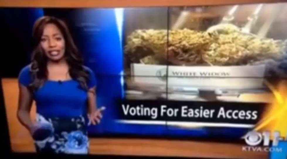 WATCH: News reporter quits job on air
