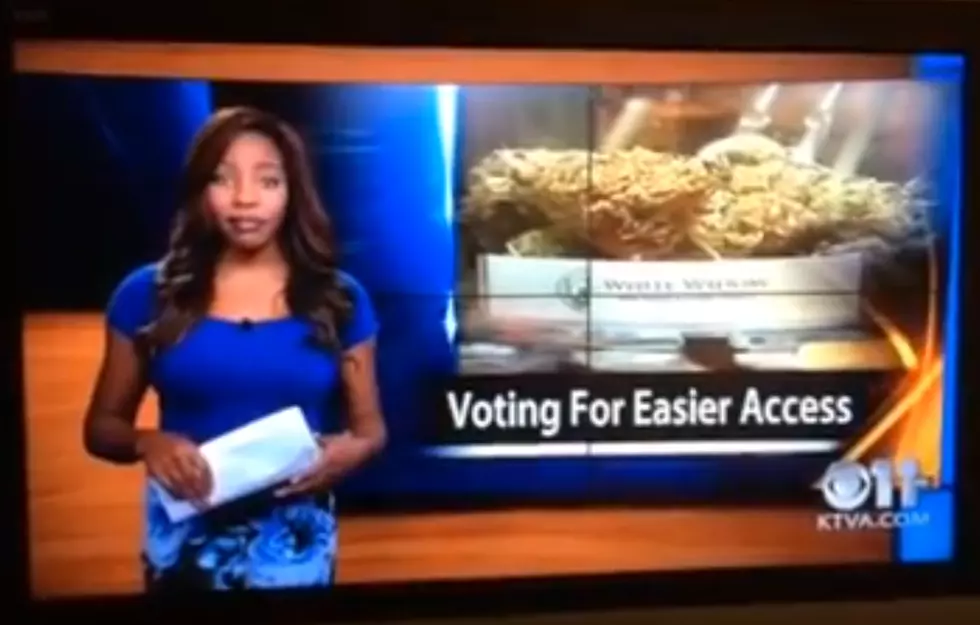 WATCH: Marijuana activist quits job live on tv