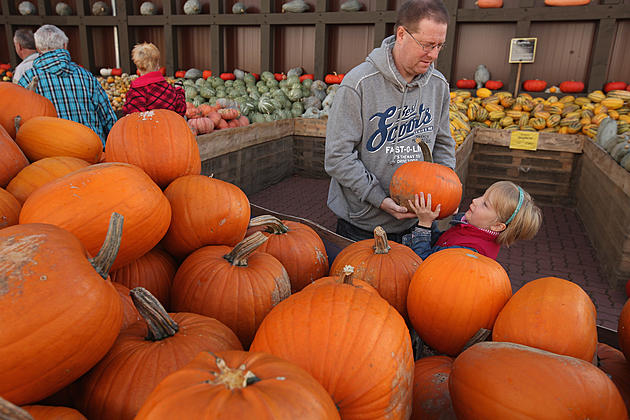 There&#8217;s plenty to do on the First Weekend of Fall in New Jersey