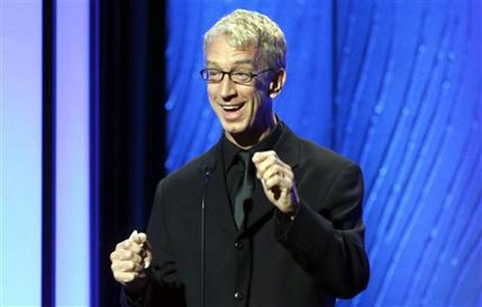 Comedian Andy Dick arrest in alleged theft