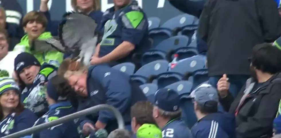 WATCH: Seahawks mascot lands on fan in stands