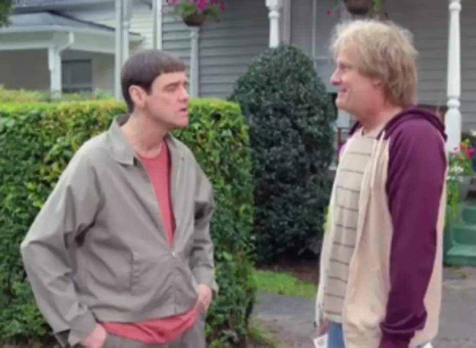 &#8216;Dumb and Dumber To':  Are you a fan of brain-dead movies?