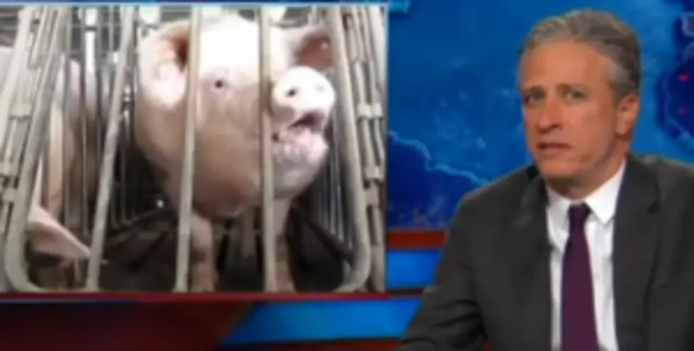 VOTE: Should Gov. Christie veto the Pig Gestation Crate Bill?